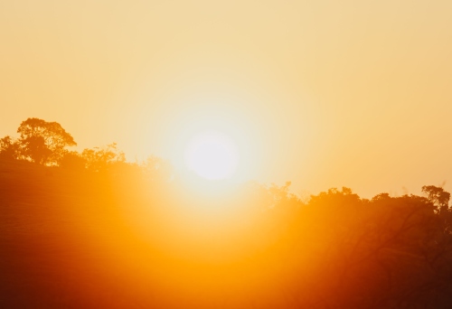 the hot sun beating down in north carolina on a summer day